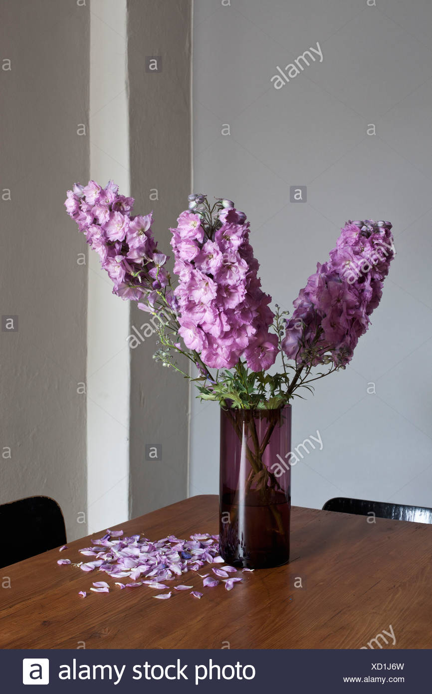 Flower Losing Petals High Resolution Stock Photography and Images Alamy