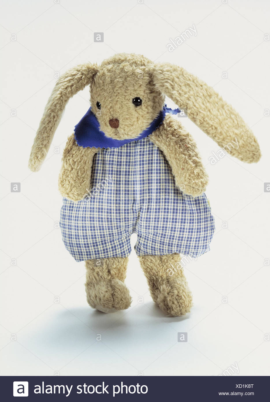 bear hare high resolution stock photography and images alamy