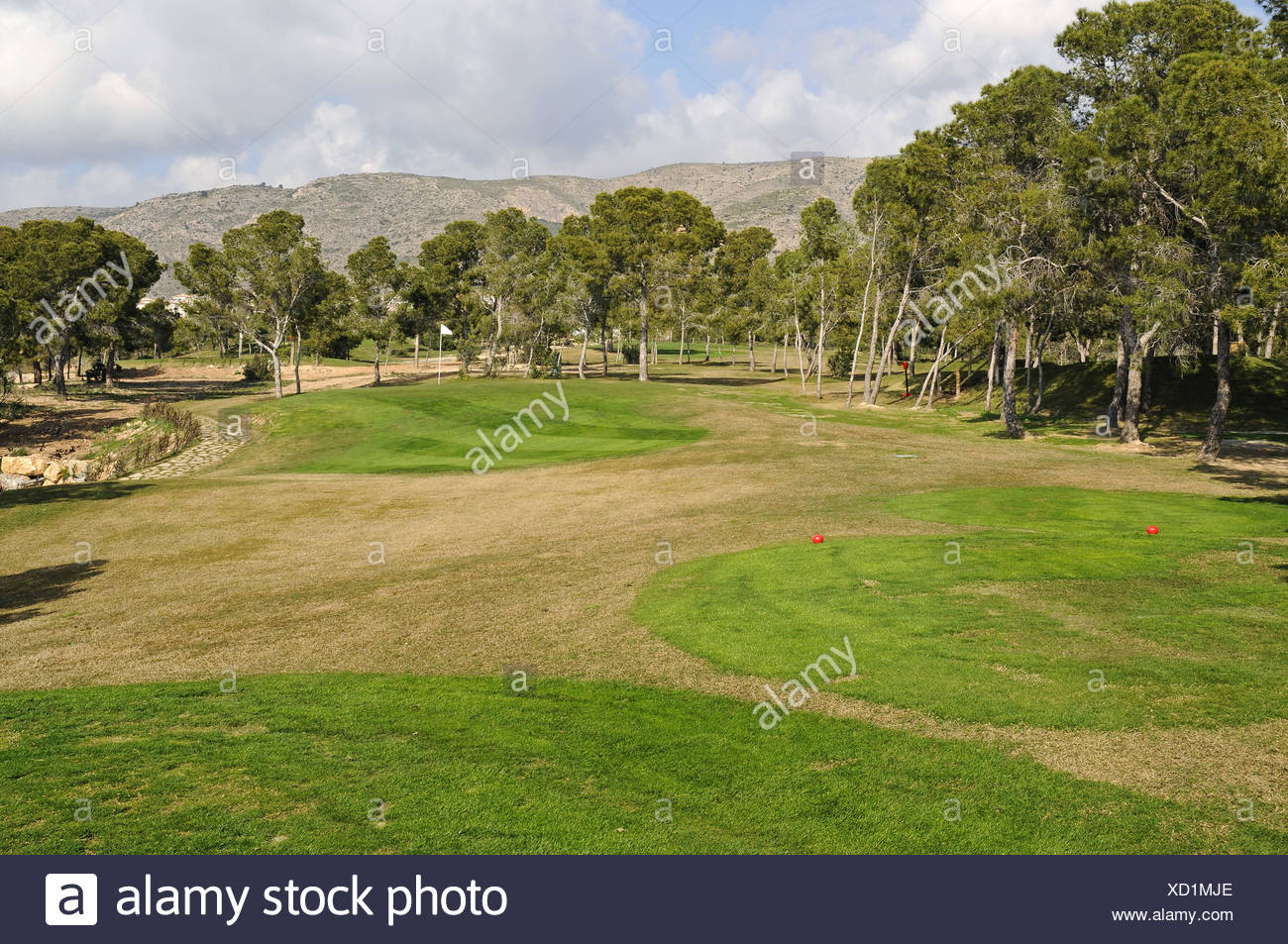 Gruener Rasen High Resolution Stock Photography and Images - Alamy