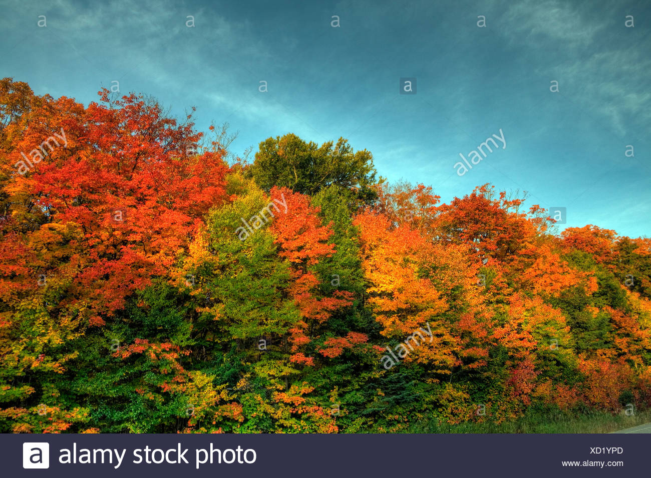 Algonquin Provincial Parks High Resolution Stock Photography and Images Alamy