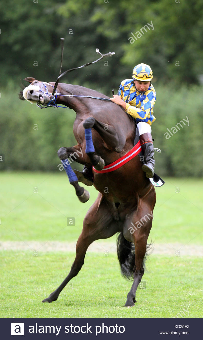 Rearing Horse Jockey Stock Photos & Rearing Horse Jockey Stock Images