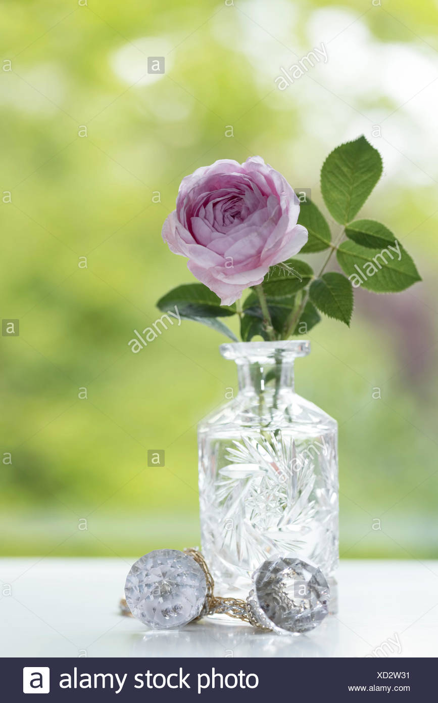 English Roses Pink Crystal Vase Crystal Golden Cord