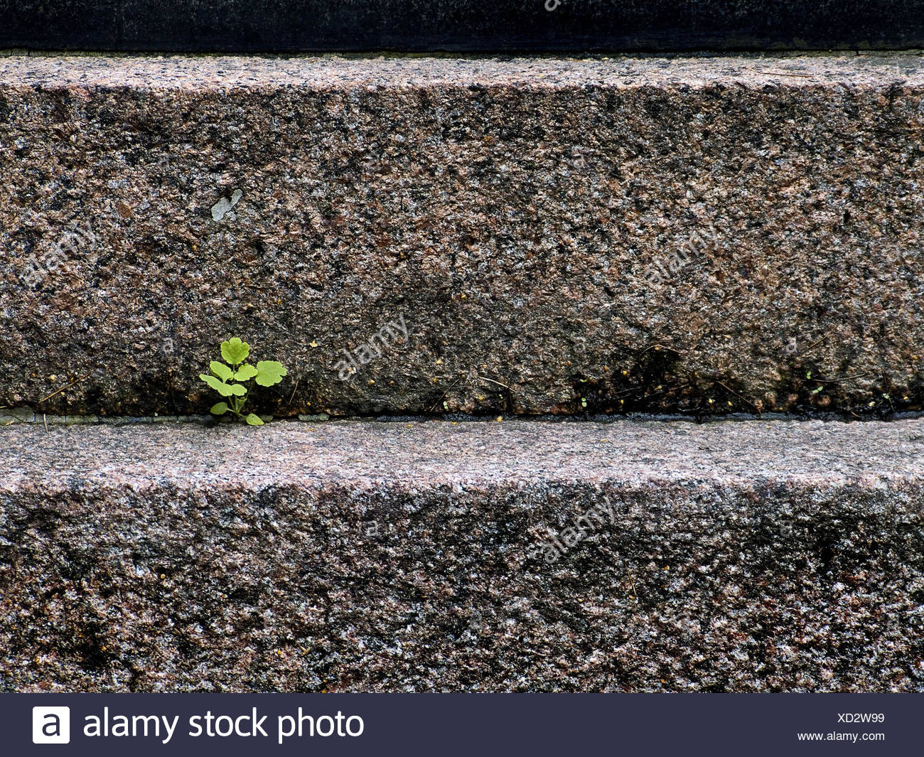 Niche Environment High Resolution Stock Photography and Images Alamy