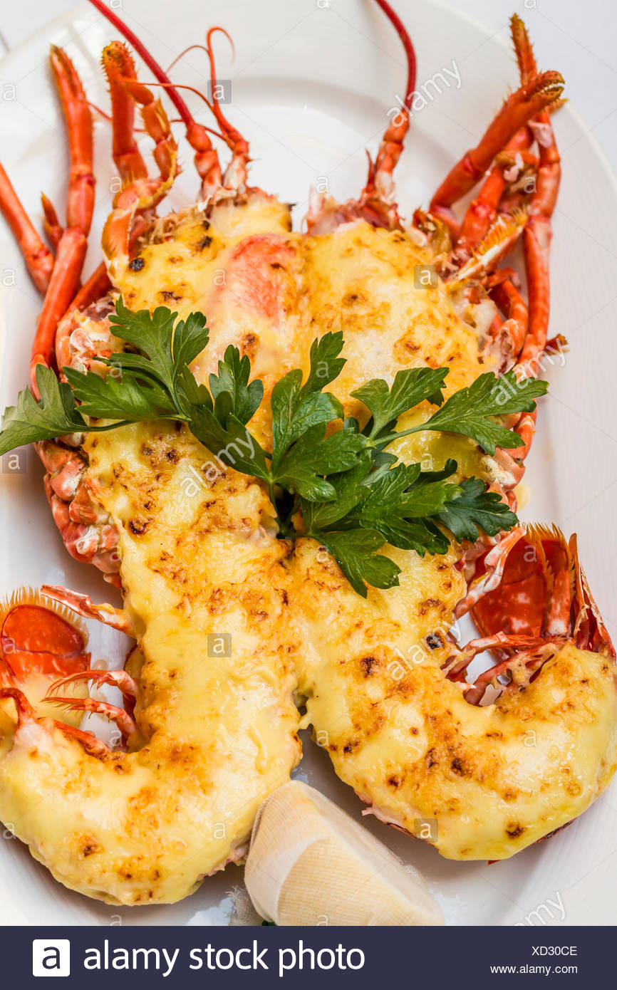 Thermidor Stock Photos & Thermidor Stock Images Alamy