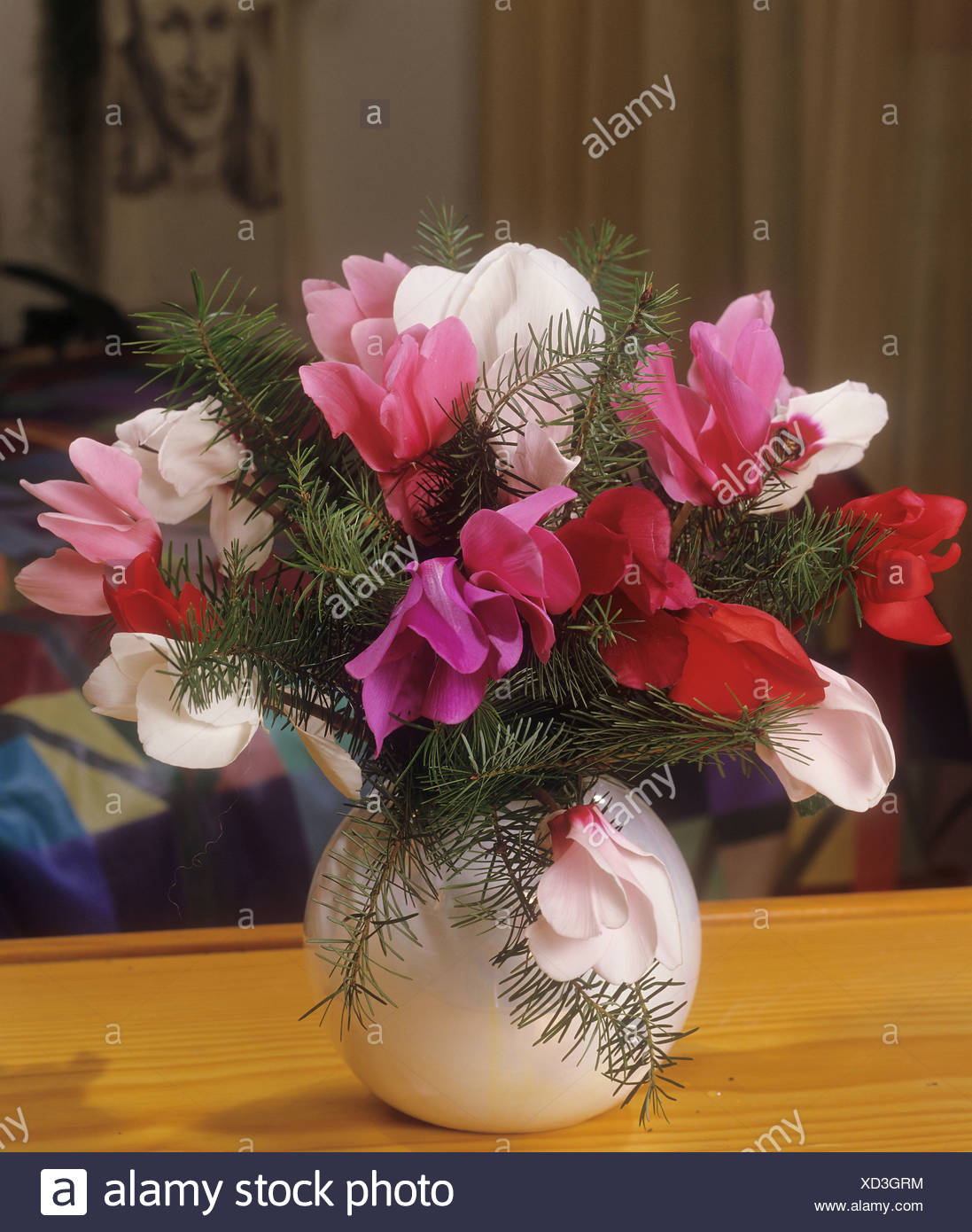 Bouquet With Cyclamen Stock Photo Alamy