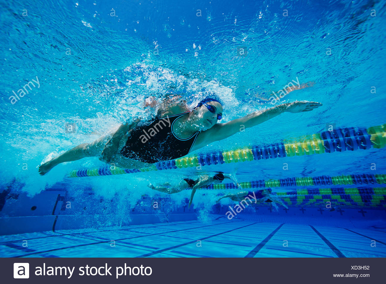 Swimmers Racing High Resolution Stock Photography and Images - Alamy