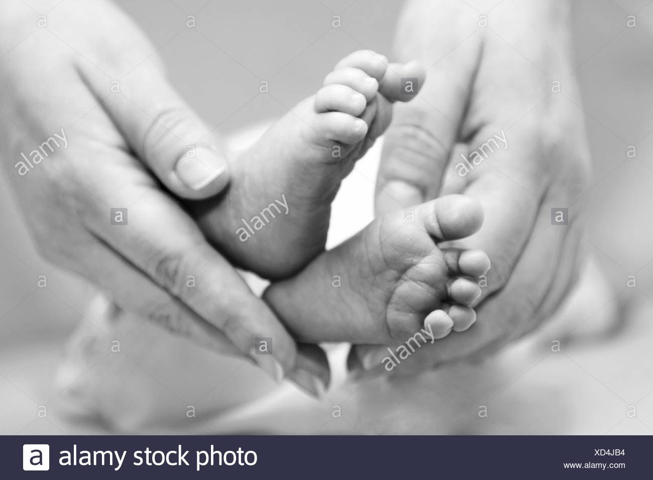 Mothers Gentle Touch Holding Cute Baby Feet Stock Photo 283458648