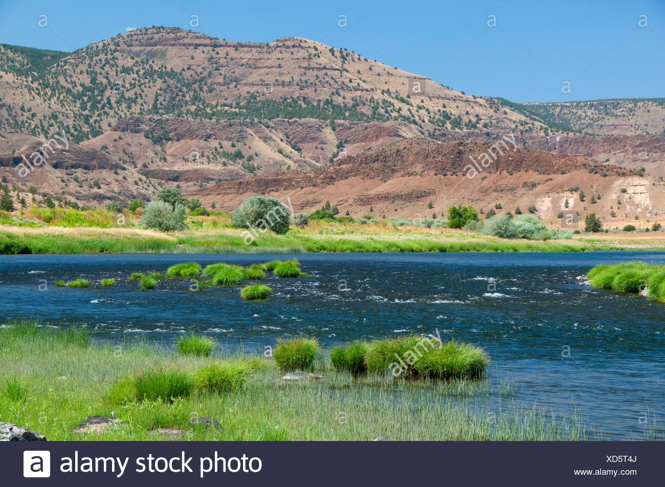 John Wheeler High Resolution Stock Photography and Images Alamy