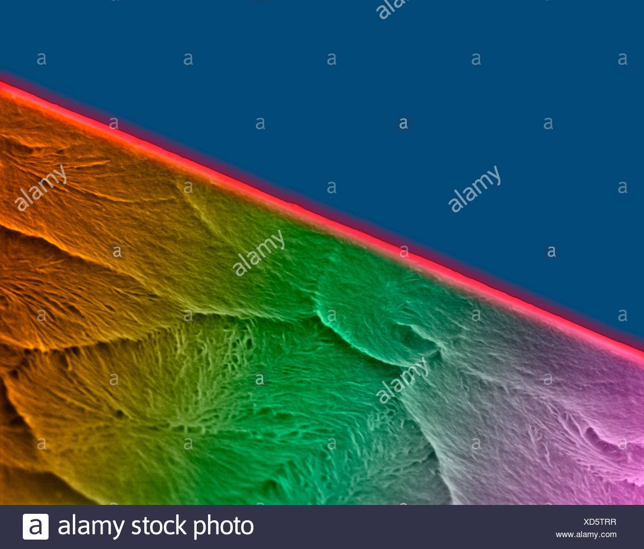 Coloured Scanning Electron Micrograph Sem Of Edge Of A New Razor