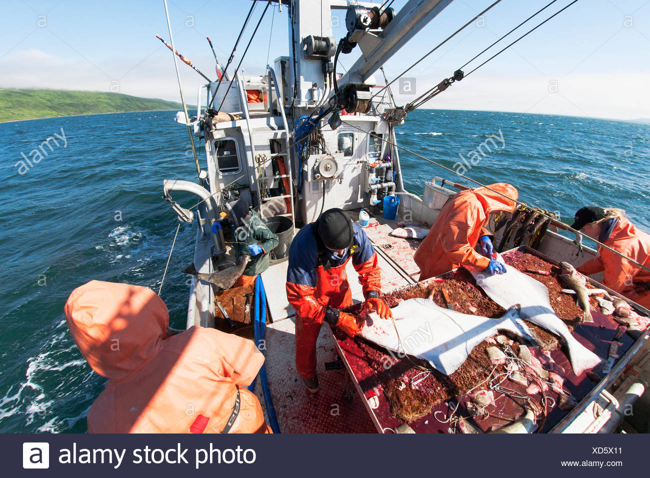 commercial longline fishing