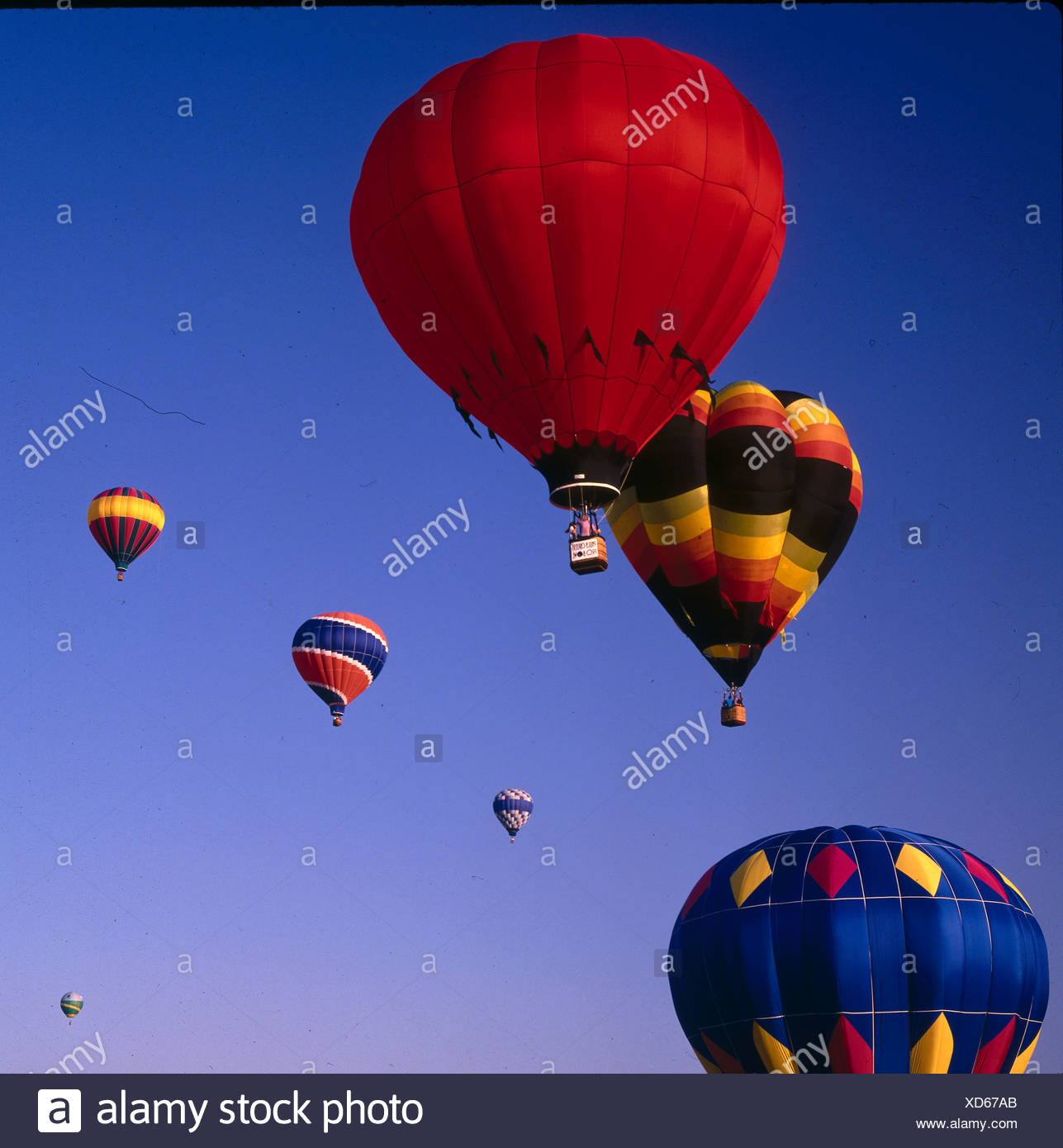 hot air balloon florida