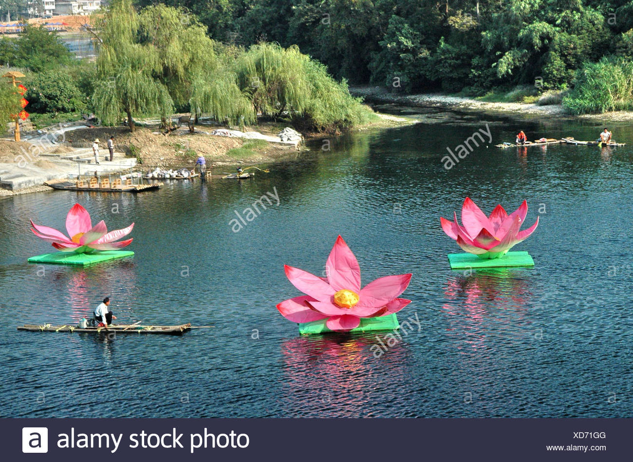 China Guilin Yangshuo Li River Large Lotus Flower - 