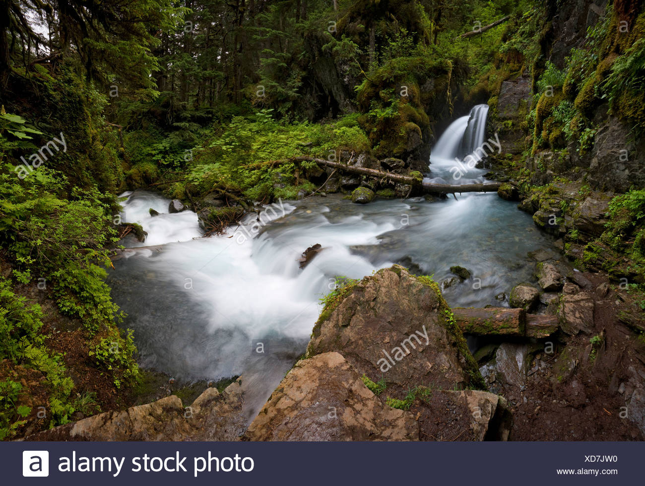 Nudist beac h sex Falls island mary river virginity