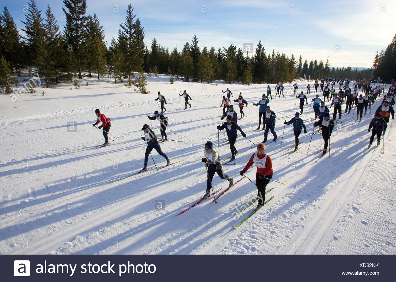 Cross Country Skis Nordic Skis The House Com >> Cross Country Skiing Marathon In 100 Mile House South Cariboo Cross Country Skis Nordic Skis The House Com >> Cross Country Skiing Marathon In 100 Mile House South Cariboo