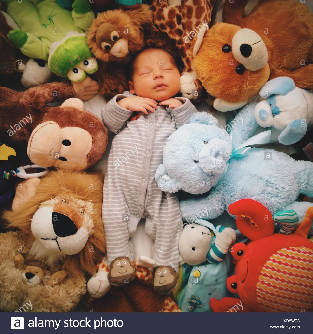 soft toys for baby boy