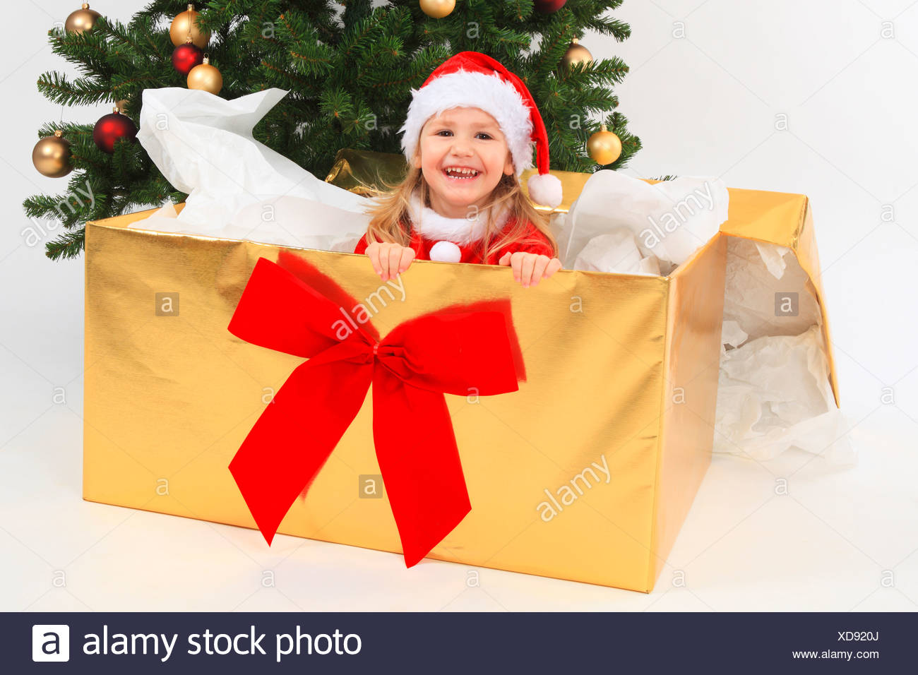 girls fancy dress box