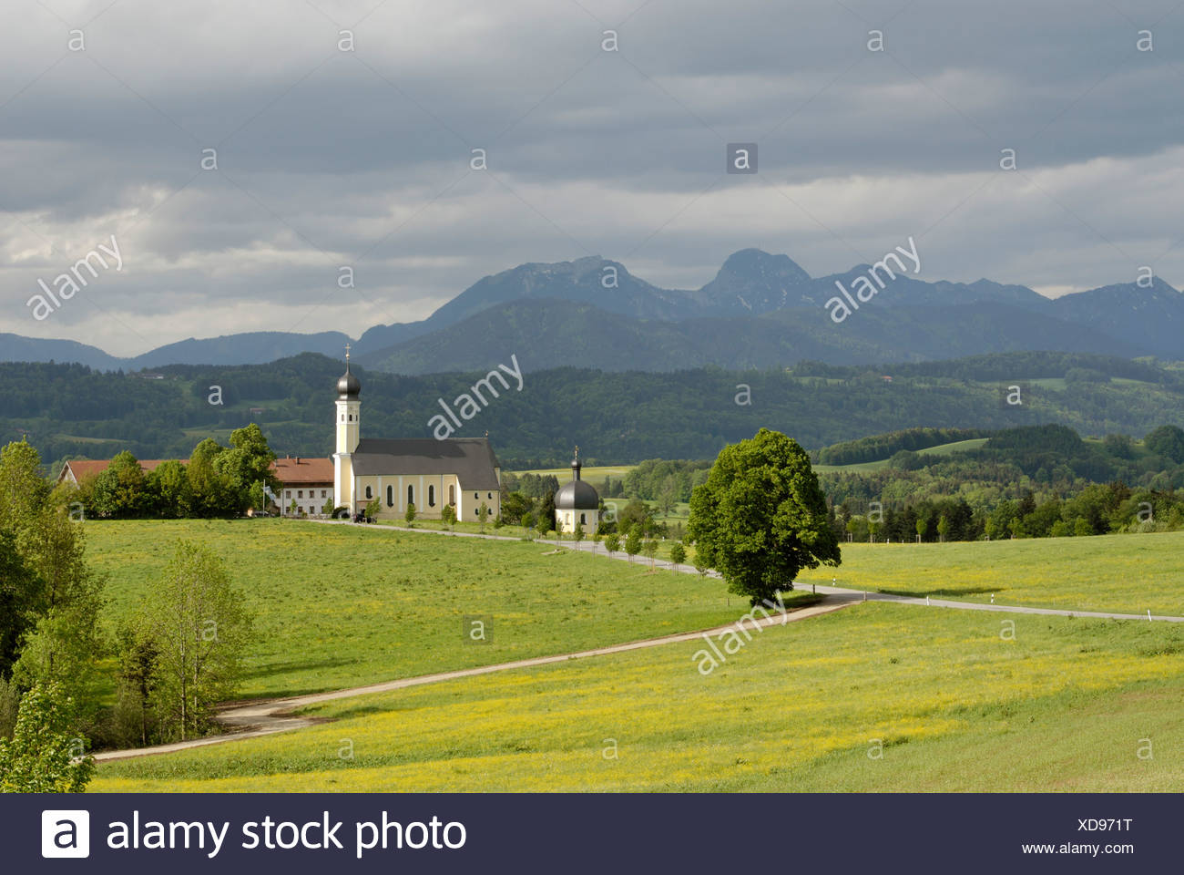 Miesbach single