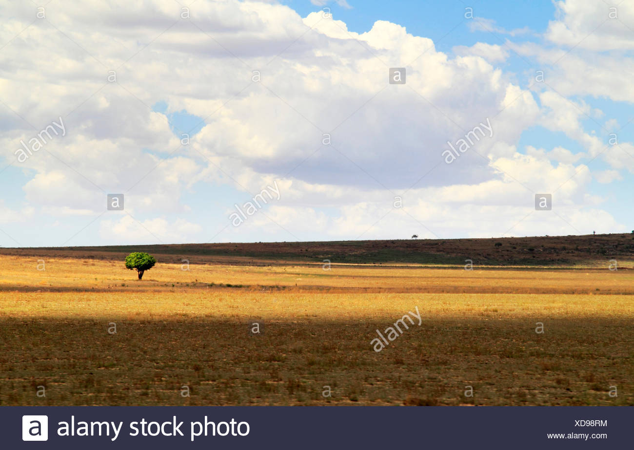 Dry Grassy Plain High Resolution Stock Photography and Images Alamy