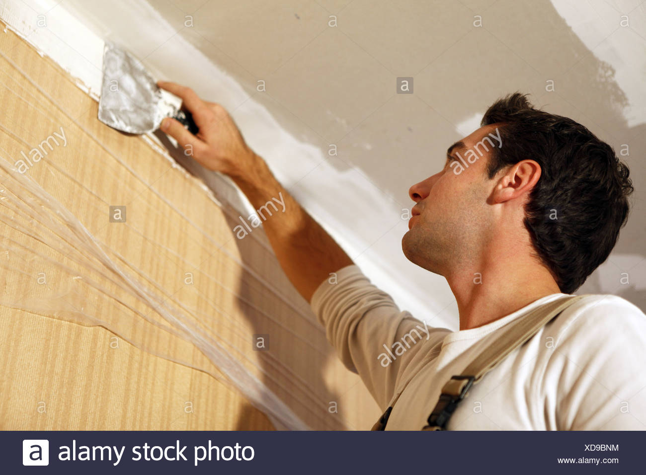 Man Putting Up A Plasterboard Ceiling Stock Photo 283563216 Alamy