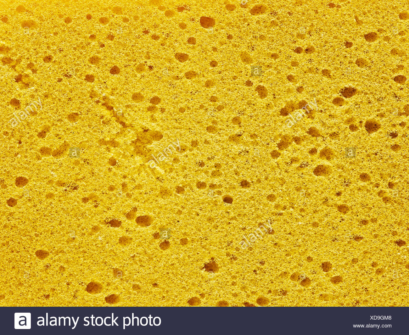 Download Yellow Sponge Surface Structure Background Stock Photo Alamy PSD Mockup Templates