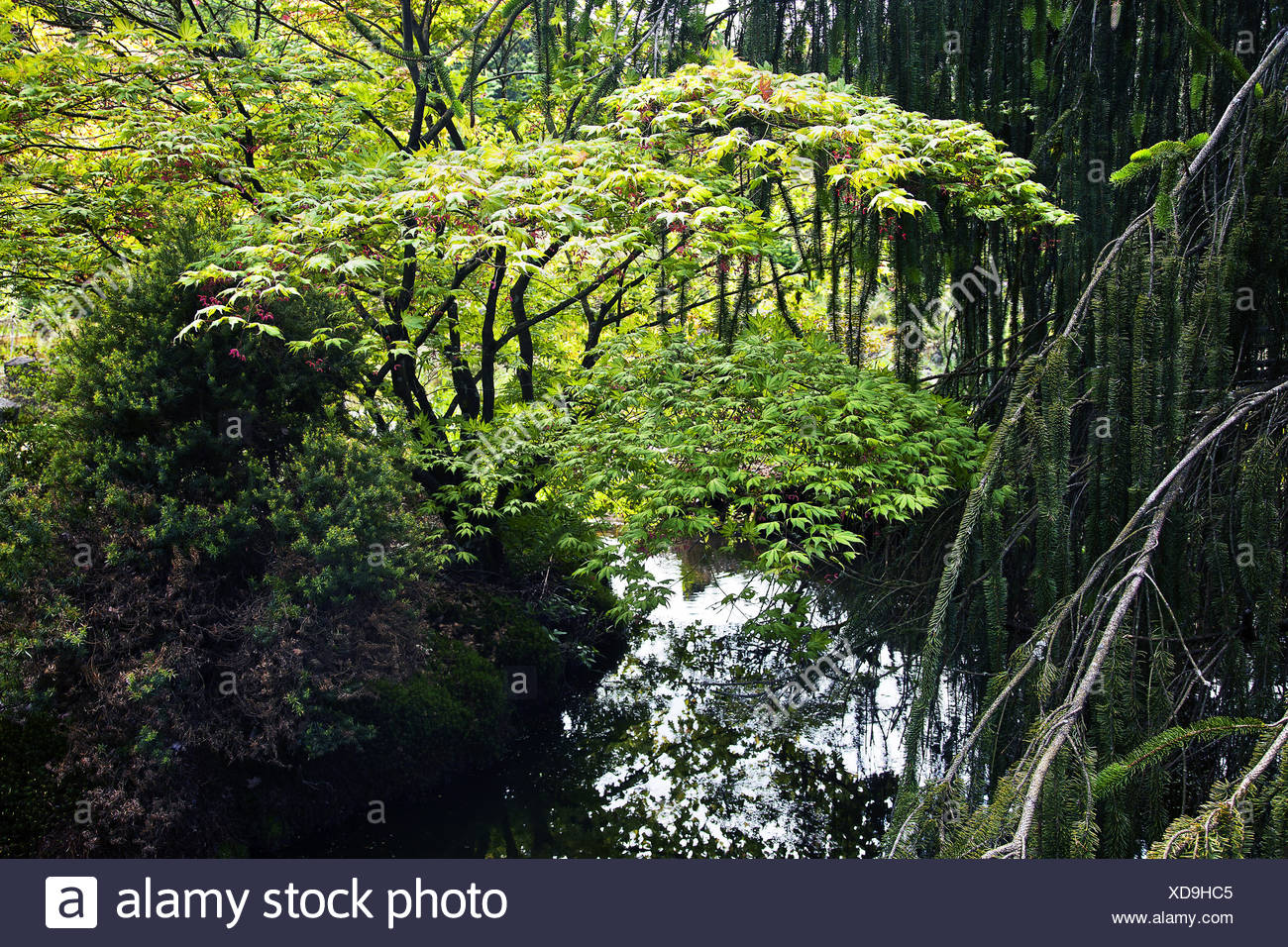 Gondremer Vosges France Stock Photo Alamy