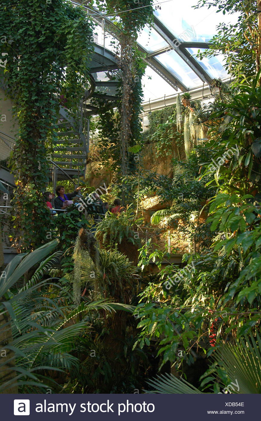 Germany Hannover Interior Greenhouse Stock Photos Germany