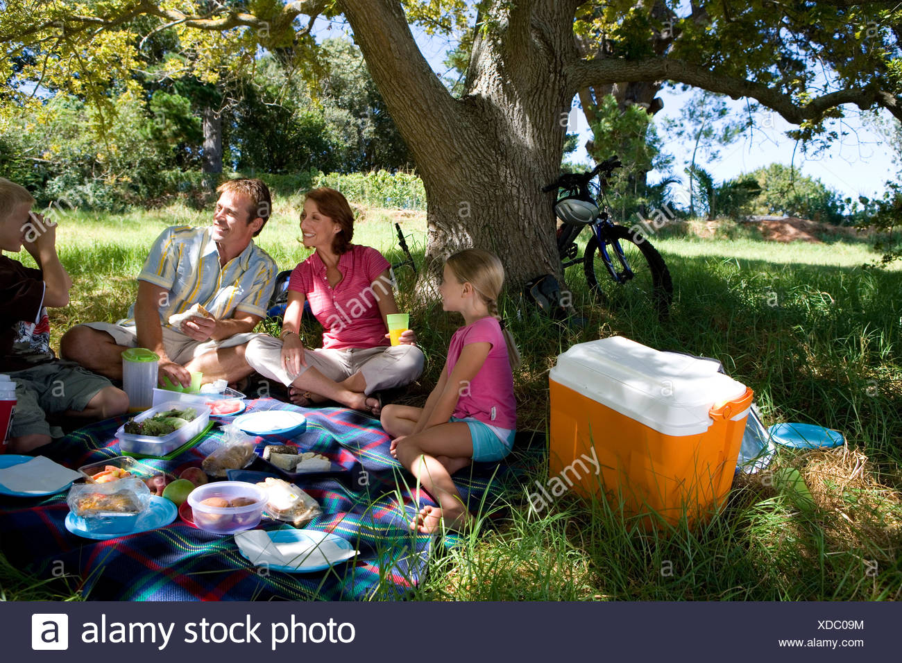 Picnic Under Tree Stock Photos & Picnic Under Tree Stock Images Alamy