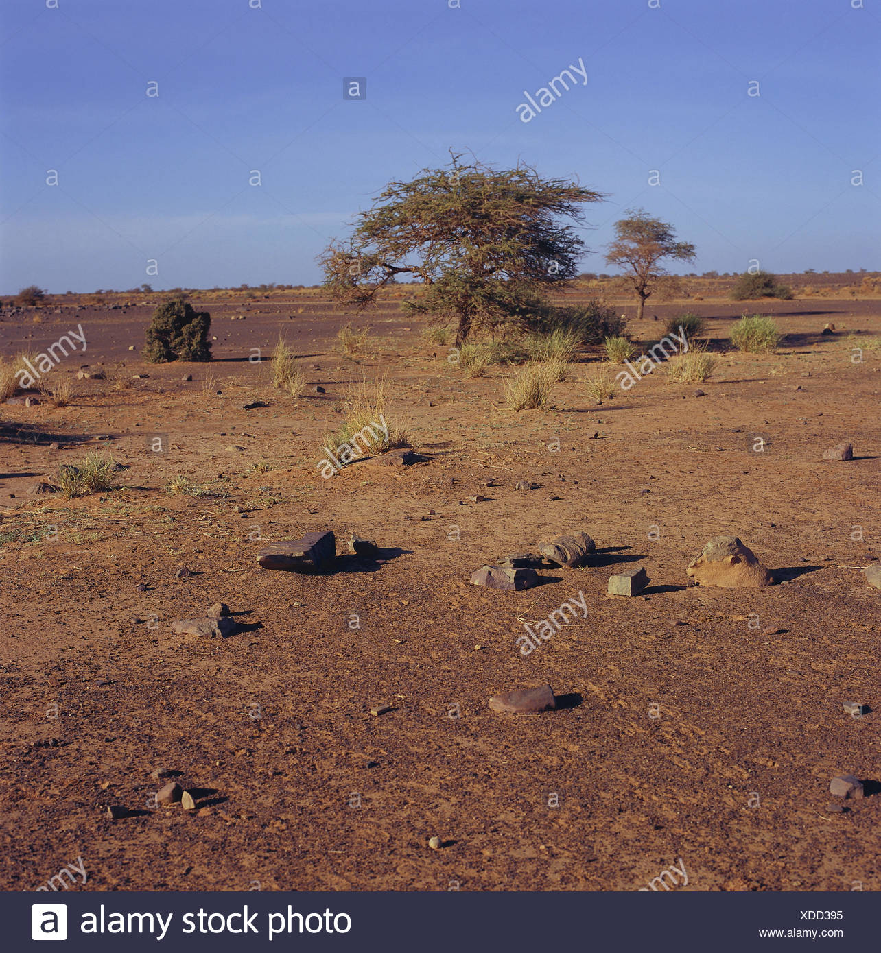 Mauritania Region Adrar Close Ouadane Wild Scenery Africa