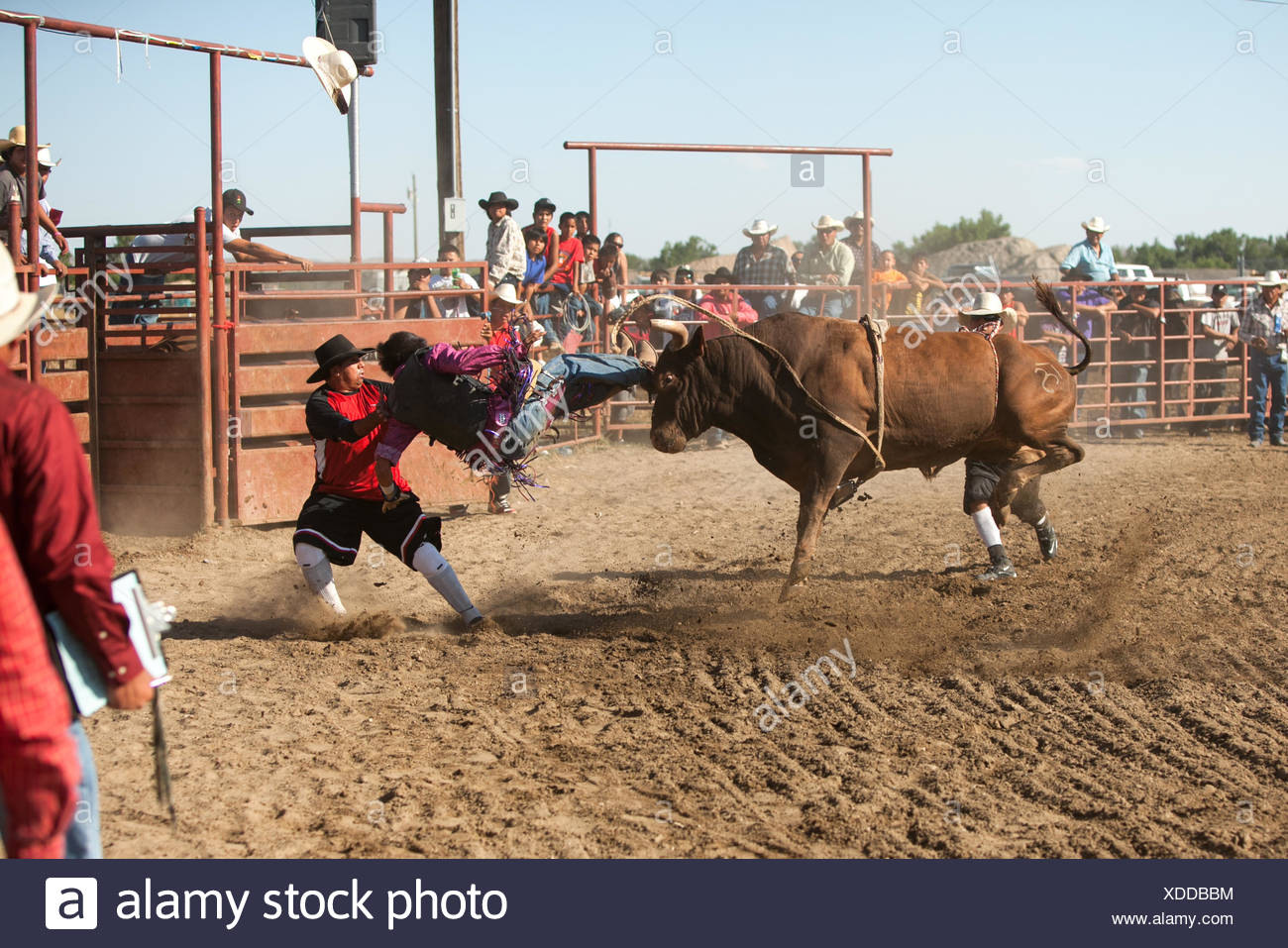 Reservation Rodeo Cody Stampede Rodeo High Resolution Stock Photography and Images - Alamy