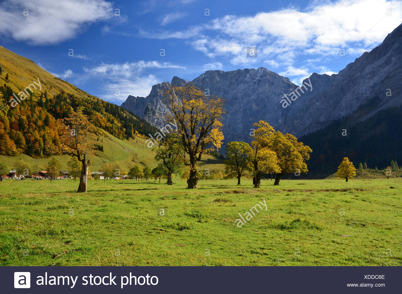 Eng Alm High Resolution Stock Photography and Images - Alamy