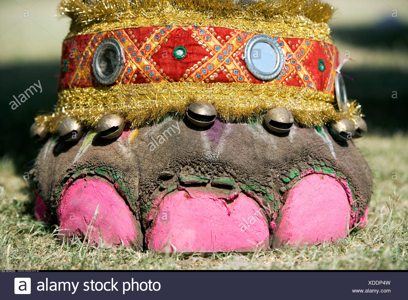 Painted Toes High Resolution Stock Photography and Images Alamy