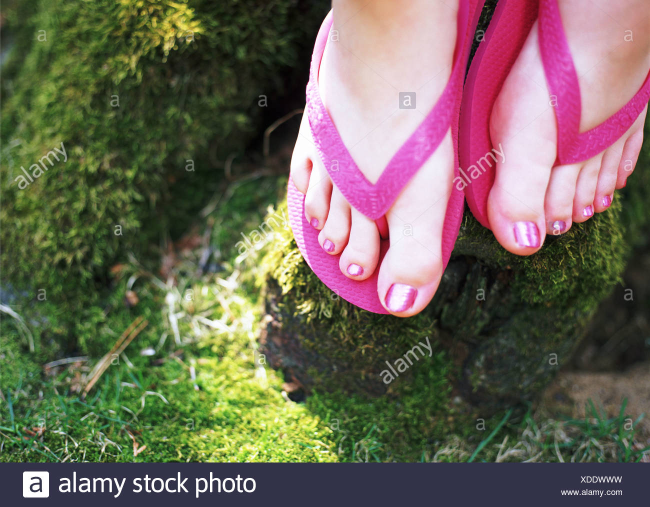 Womens Feet Pink Flip Flops Moss Stock 