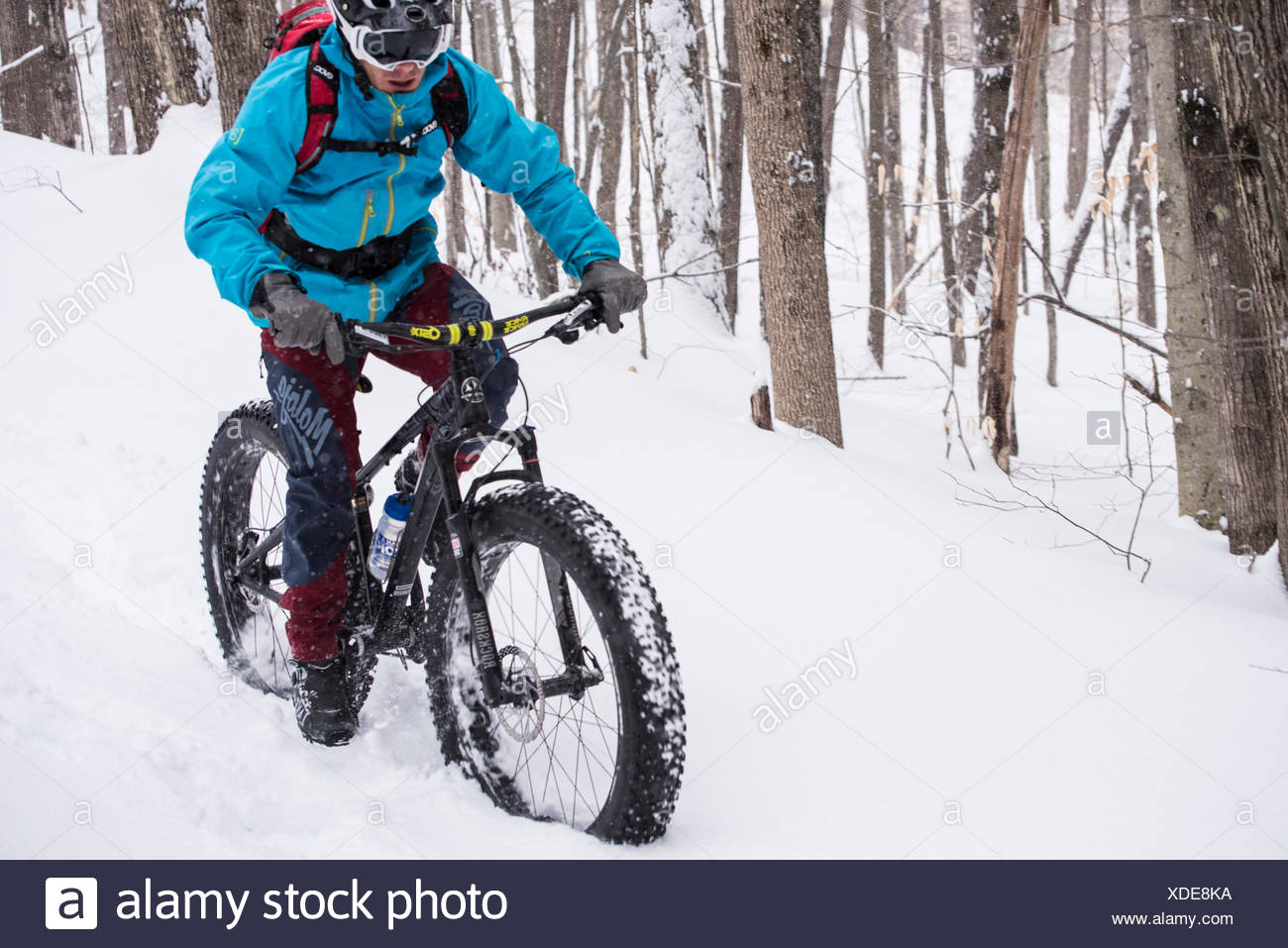 fat tire winter bike
