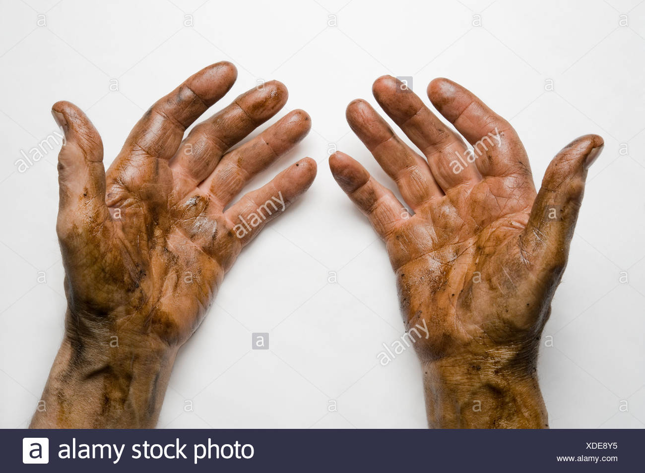Greasy Hands Stock Photos & Greasy Hands Stock Images Alamy