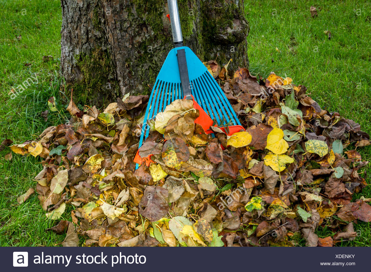 Gardening In Autumn In A German Garden Stock Photo Alamy
