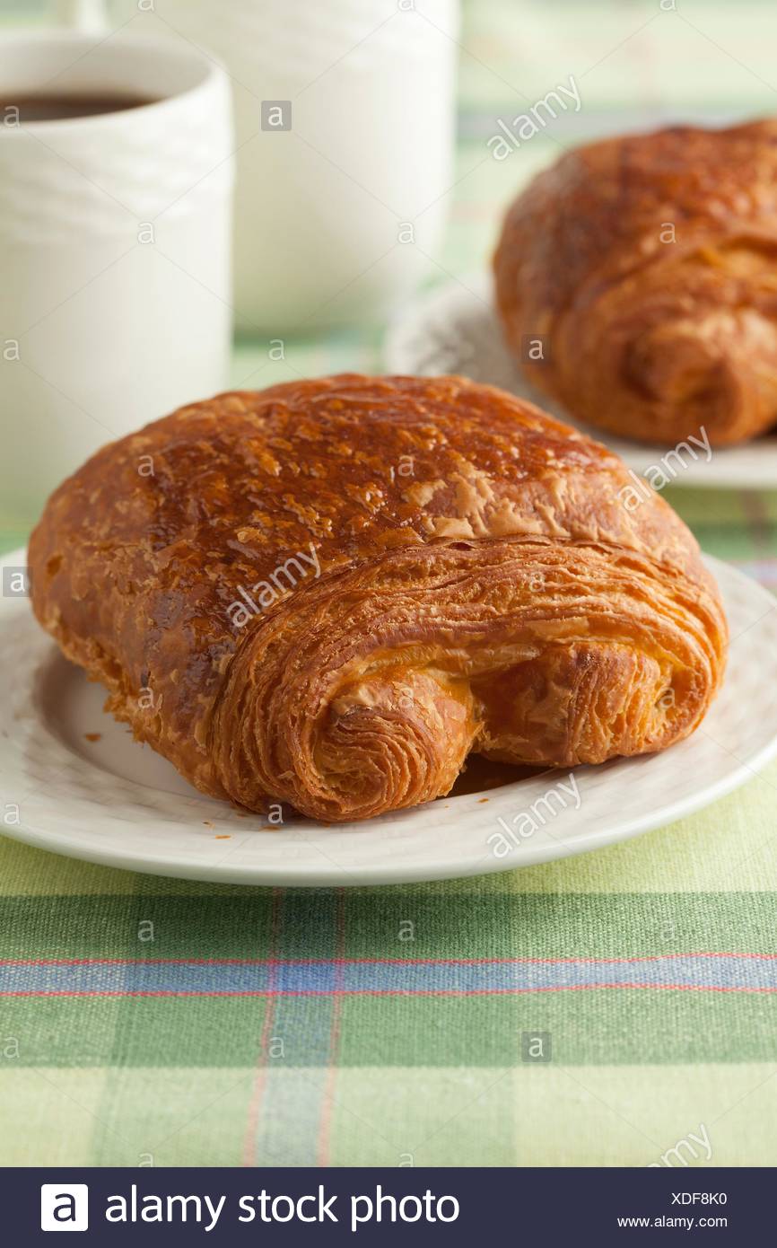 Fresh French Chocolate Croissant For Breakfast Fresh French Chocolate Croissant For Breakfast