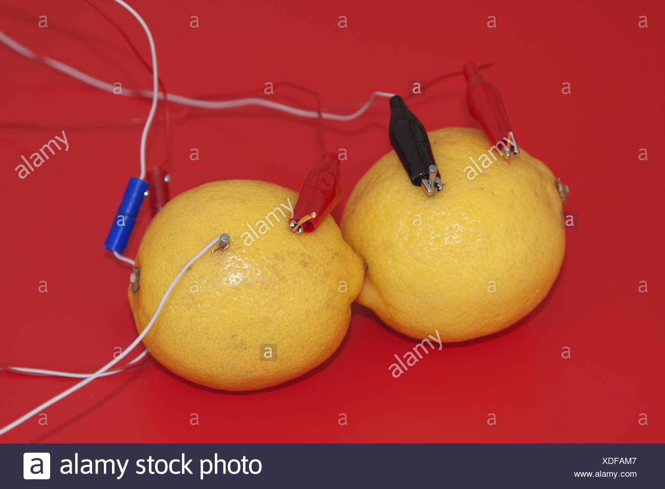 Lemon Battery Stock Photos & Lemon Battery Stock Images Alamy