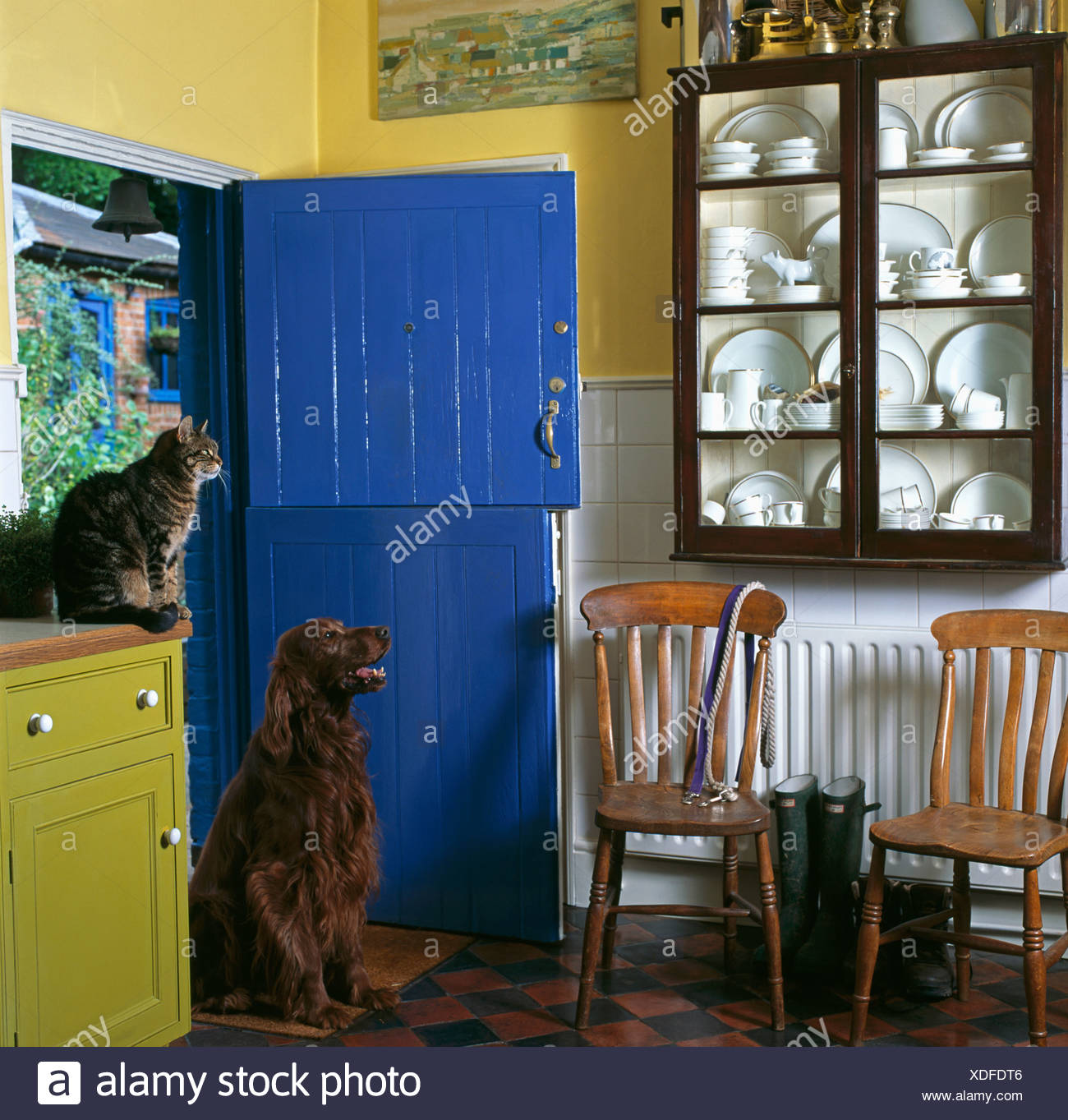 Cat And Dog In Country Kitchen With Blue Painted Stable Door