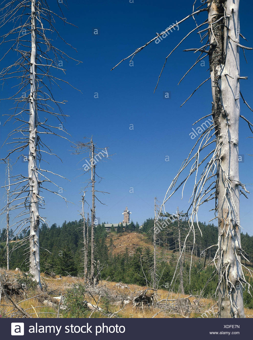 Germany Black Forest Acid Rain High Resolution Stock Photography and
