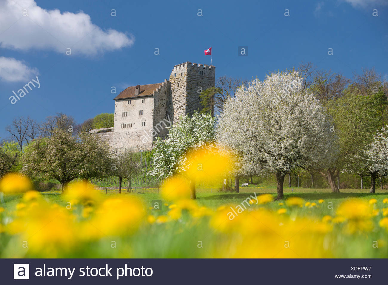 Habsburg Castle High Resolution Stock Photography and Images Alamy