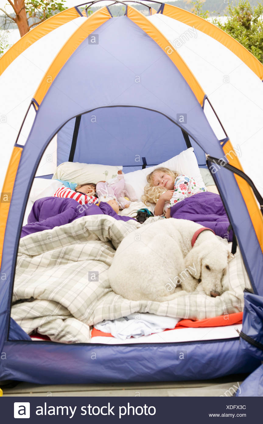 dog sleeping tent