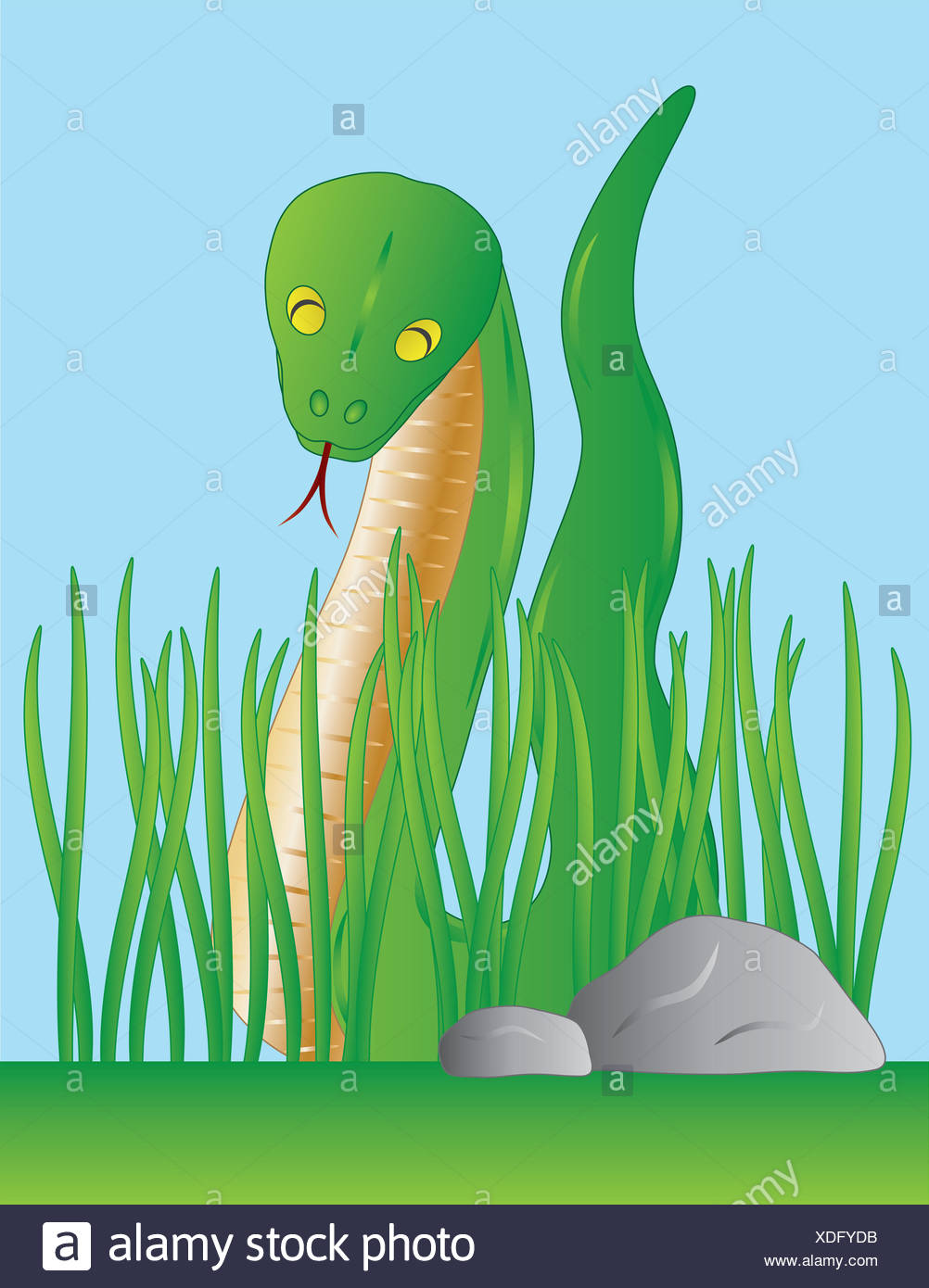 Animal Reptile Wildlife Snake Vector Boa Lawn Green Garden