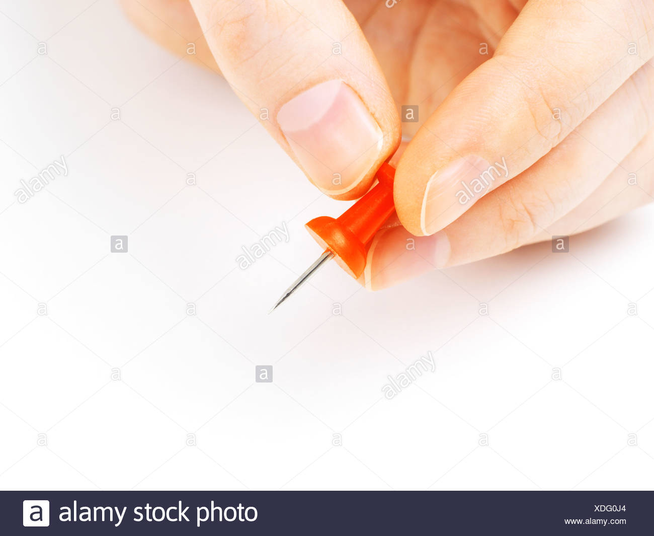 Tack Hand Stock Photos & Tack Hand Stock Images Alamy