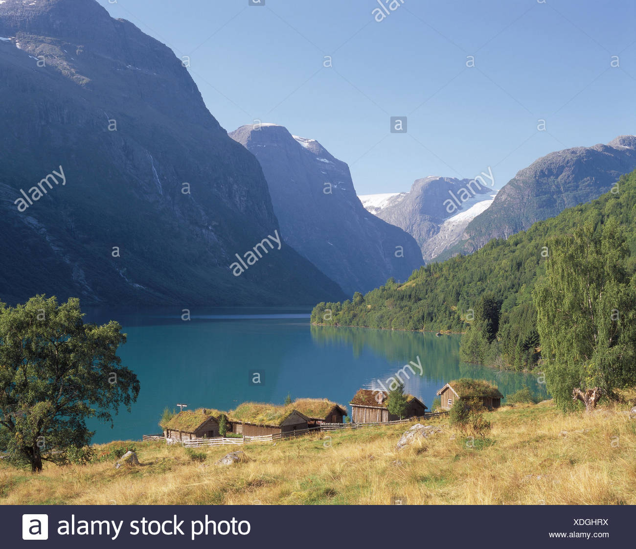 Norway, northern country, north fjord, lake Loenvatnet, shore ...