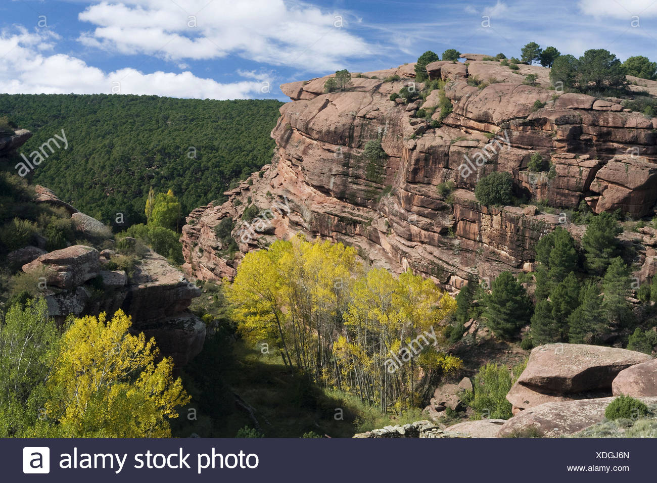 Pinares De Rodeno High Resolution Stock Photography And Images Alamy