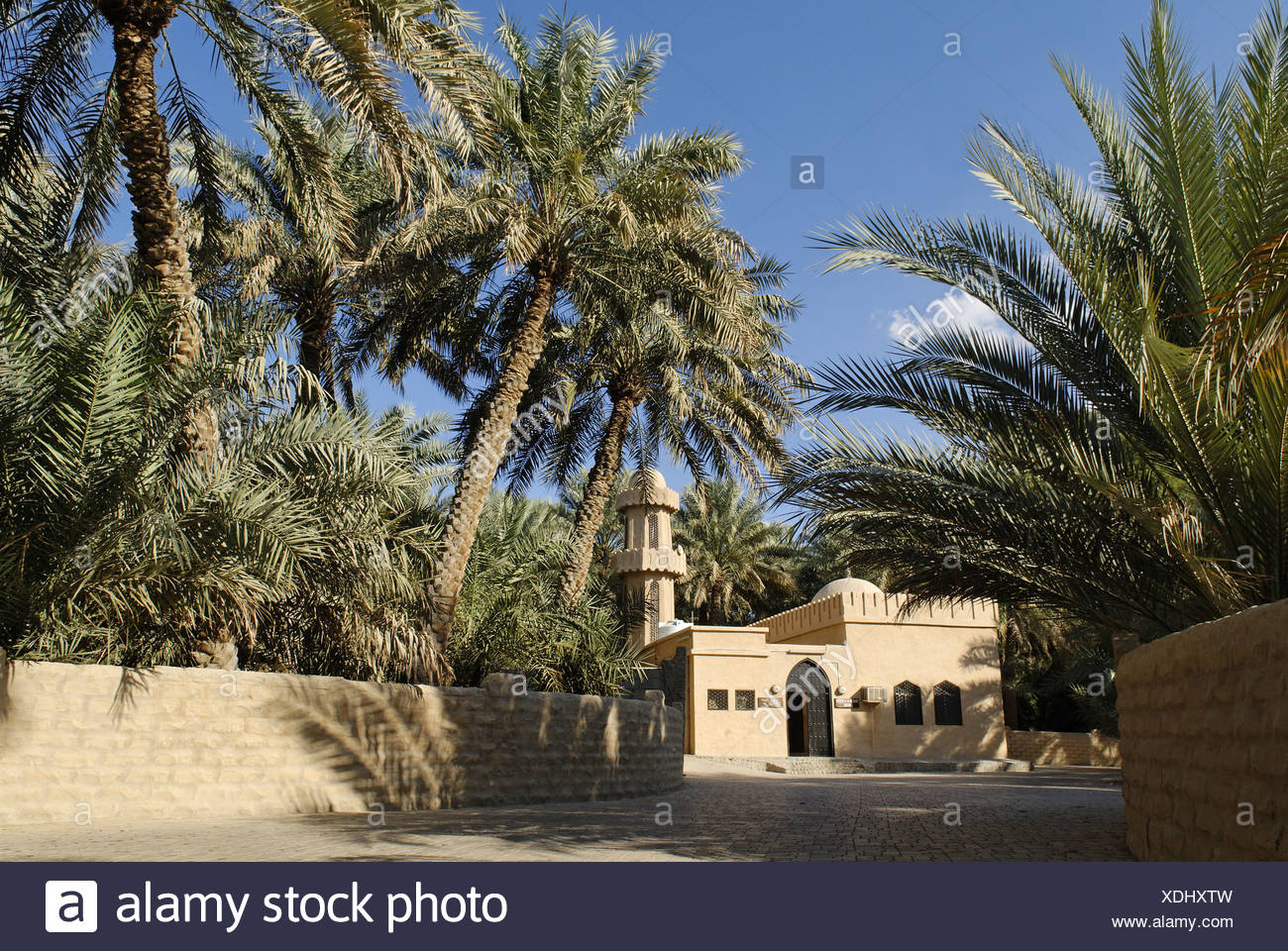 Mosque Palm Garden Oasis Al Ain Abu Dhabi Arabia Arabic Blue Sky