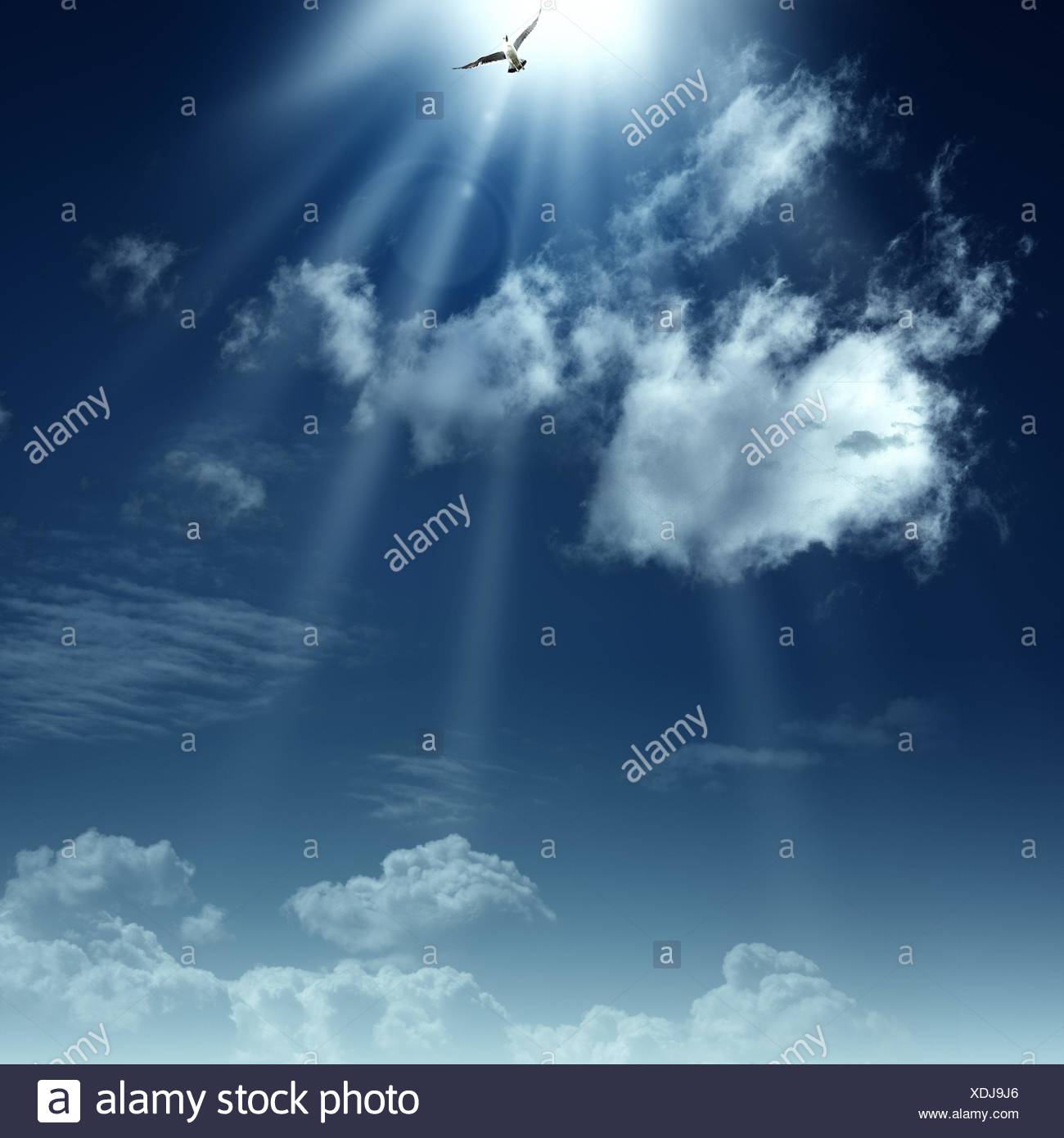 Soul Heaven High Resolution Stock Photography and Images - Alamy