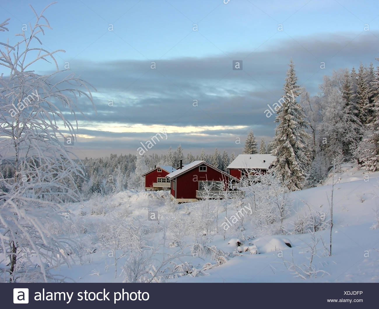 Winter Sweden Framehouse Winter Holidays Winter Landscape