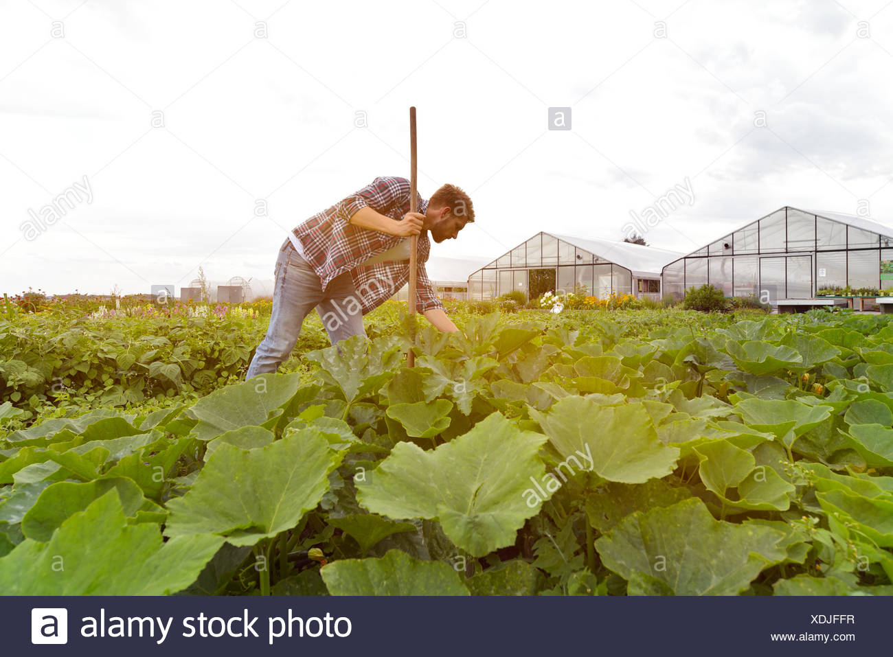 An Der Arbeit High Resolution Stock Photography and Images - Alamy