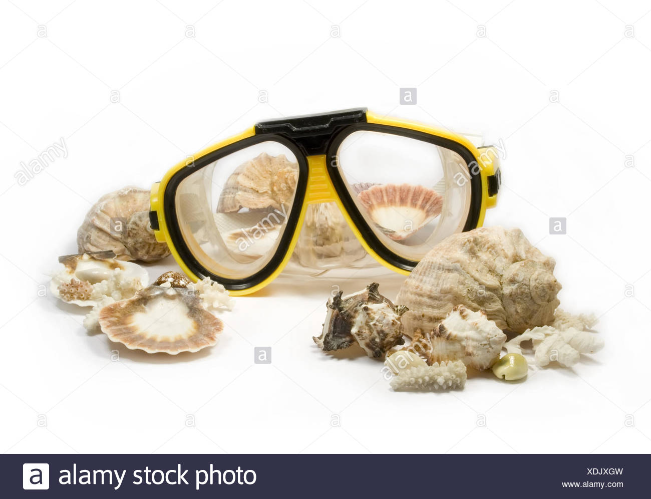 Download Yellow Diving Mask With Sea Shells Stock Photo Alamy PSD Mockup Templates